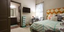 Find 2 Bedroom Apartments Near Usf In Tampa Fl Renttampabay